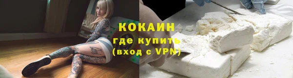 трава Балахна