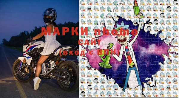 стаф Баксан