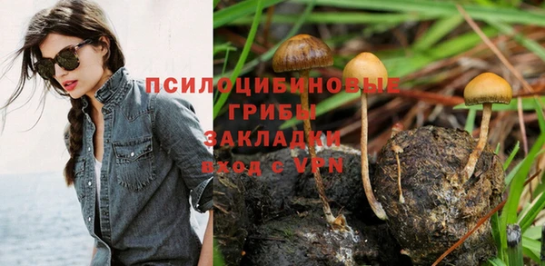 стаф Баксан