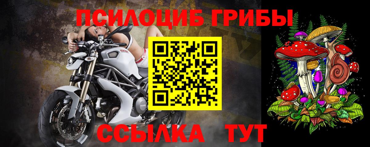 Галлюциногенные грибы мицелий  Вход с VPN  Псилоцибиновые грибы прущие грибы  Усть-Джегута 